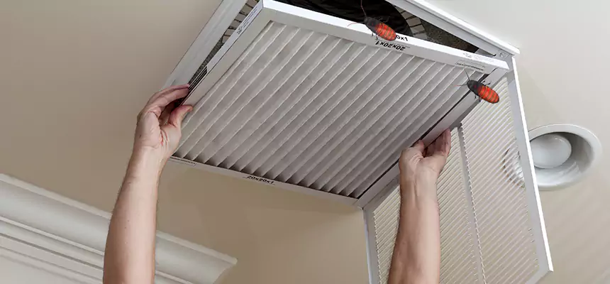 Preventive Cockroach-Proofing for Ducts in Altadena