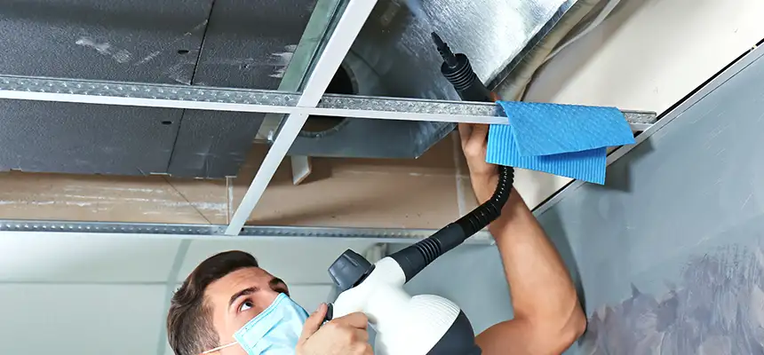 Our Air Duct Rodent Removal Services in Altadena, CA