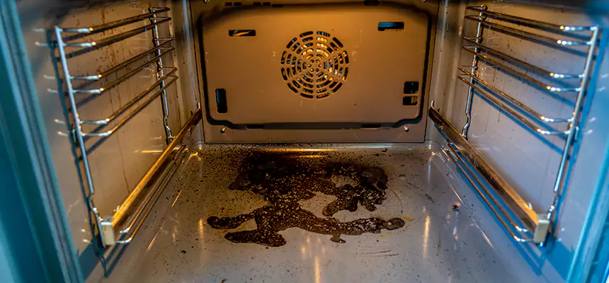 Our Dryer Vent Mold Cleaning Services in Altadena, CA