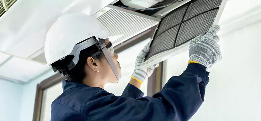 Our Mold & Mildew Removal from Air Ducts Services in Altadena, CA