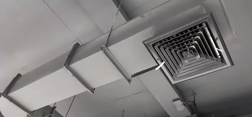 Our Pest Removal From Ducts Services in Altadena, CA