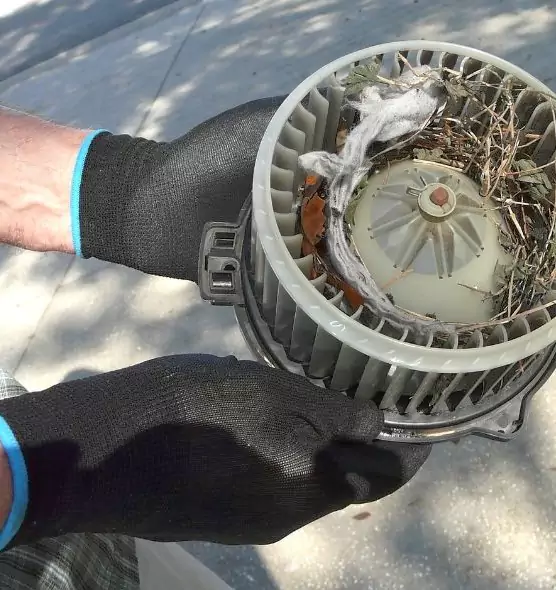 About Air Duct Mice Removal in Altadena, CA