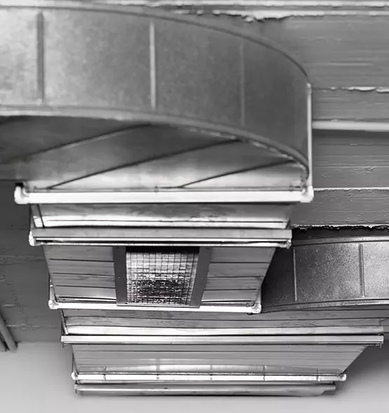 Professional Air Duct Pest Removal in Altadena, CA