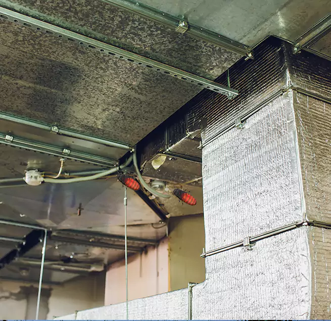 Why Homeowners & Businesses Trust Us in Altadena, CA?