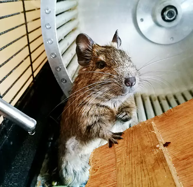 Why Homeowners & Businesses Trust Us Altadena, CA?