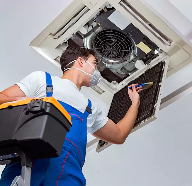 Why Homeowners & Businesses Trust Us in Altadena, CA?