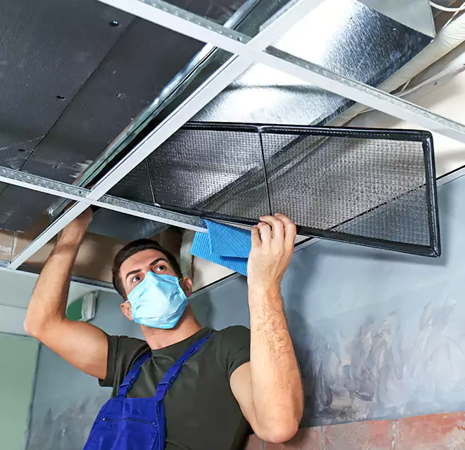 Why Homeowners Businesses Trust Us in Altadena, CA