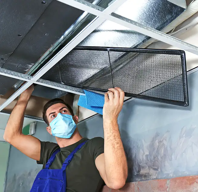 Why Homeowners & Businesses Trust Us in Altadena, CA?